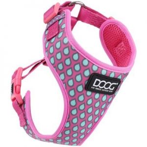 Doog Harness Luna L