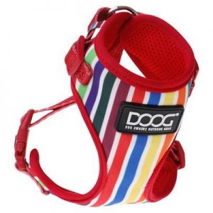 Doog Harness Scooby M