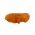 Huskimo Coat Cardrona Tumeric 60cm