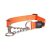 Rogz Obedience Collar Orange Large