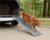 Happy Ride (Solvit) Deluxe Telescopic Pet Ramp – Standard Size up to 182cm